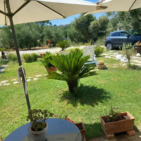 Villa Tra Uliveti E Mare Matonti